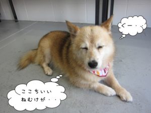 施術後ミックス