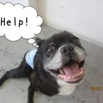 助けてほしいミックス