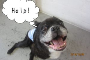 助けてほしいミックス