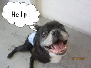 助けてほしいミックス