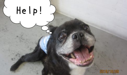 助けてほしいミックス