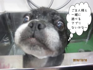 スパ中ミックス