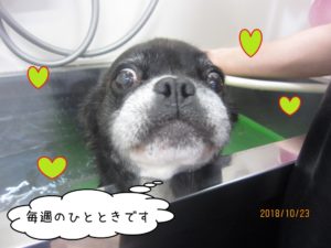 スパ中ミックス