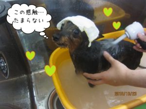 スパ中ミックス