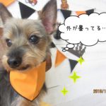 おすましミックス