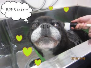 スパ中ミックス