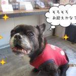 のんびりミックス