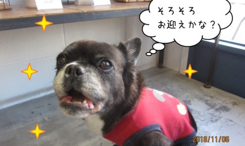 のんびりミックス