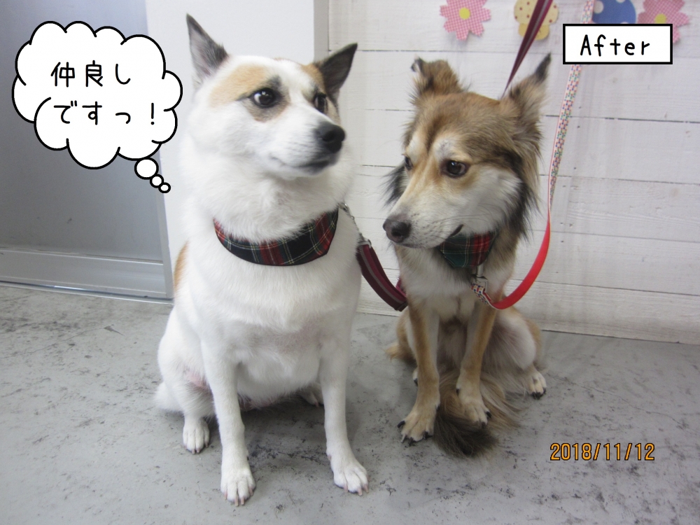 仲良しミックス