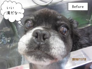 施術後ミックス