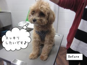 カット前ミックス