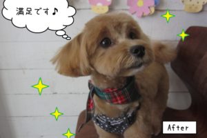 おすましミックス