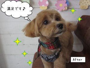 おすましミックス