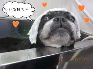 スパ中ミックス