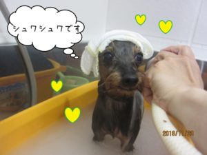 スパ中ミックス