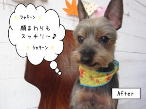 カット後ミックス