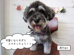 困っちゃうMシュナ