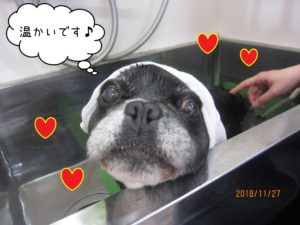 シャンプー中ミックス