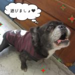 上を向くミックス