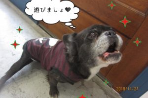 上を向くミックス