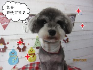 おすましMシュナ