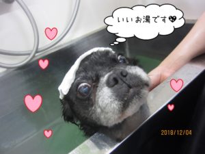 スパ中ミックス