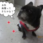 おすましミックス