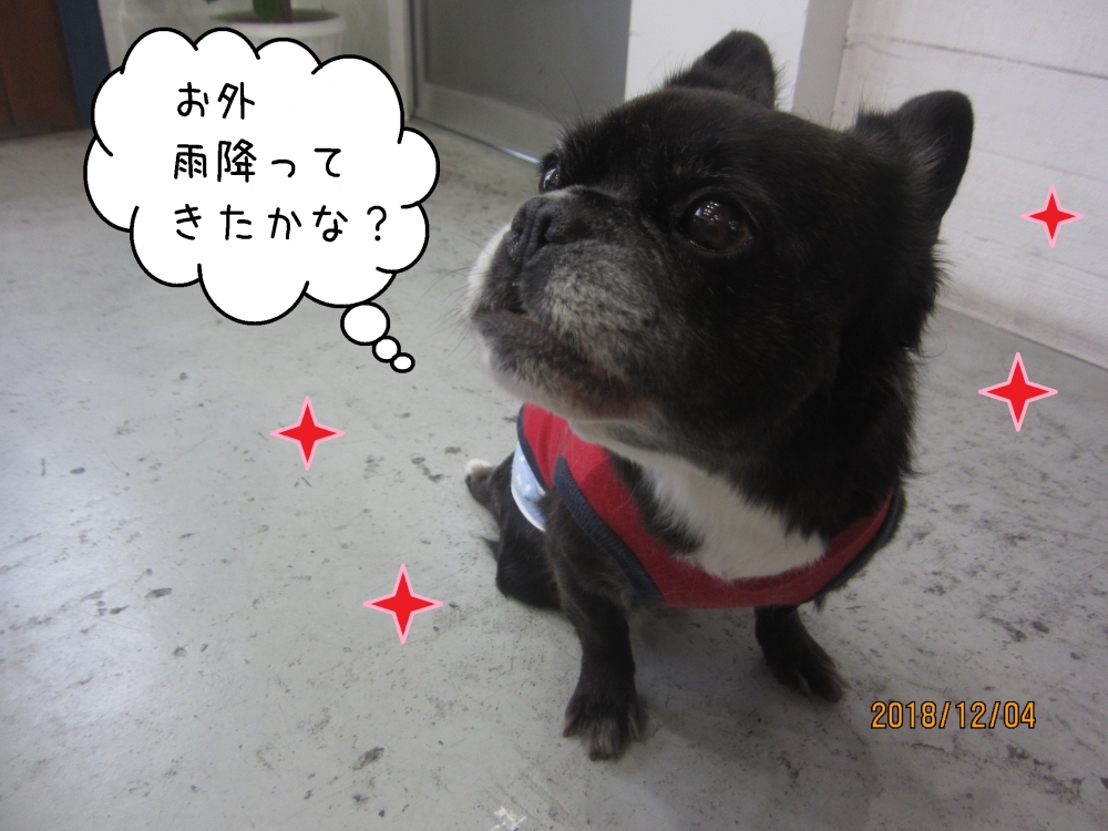 おすましミックス