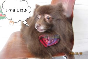 おすましミックス