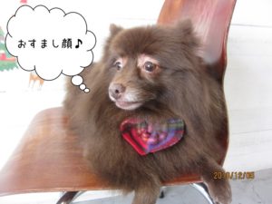 おすましミックス