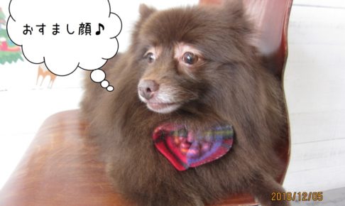 おすましミックス