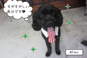 笑顔ネクタイミックス