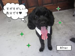 笑顔ネクタイミックス