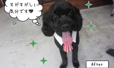 笑顔ネクタイミックス