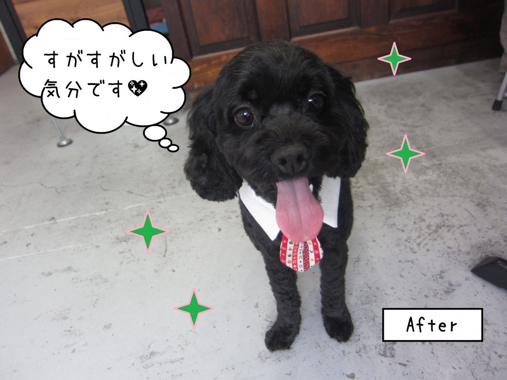 笑顔ネクタイミックス