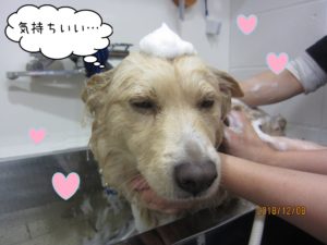 シャンプー中ミックス