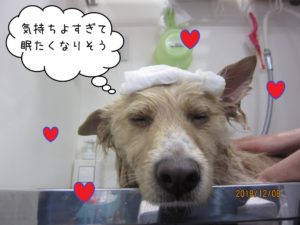 シャンプー中ミックス