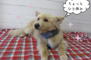 ひとやすみミックス