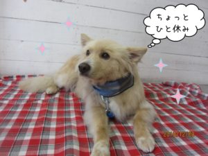 ひとやすみミックス