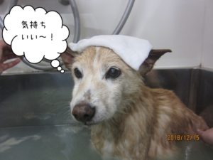 スパ中ミックス