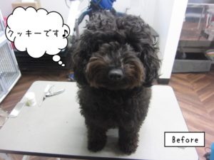 カット前クッキー