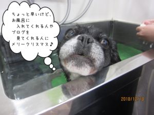 スパ中ミックス