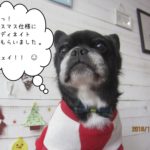 クリスマスミックス