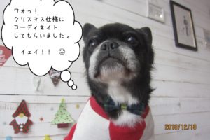 クリスマスミックス