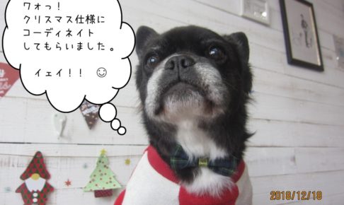 クリスマスミックス