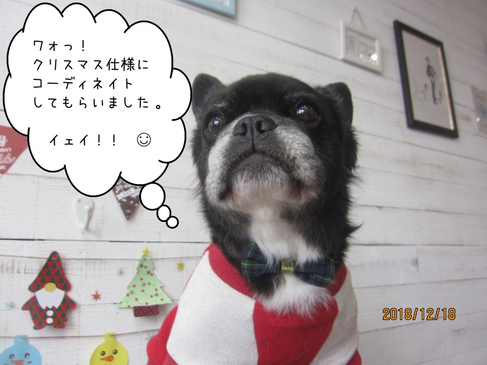 クリスマスミックス