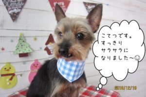 微笑むミックス