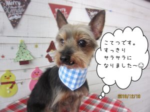 微笑むミックス