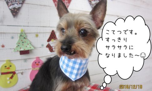 微笑むミックス