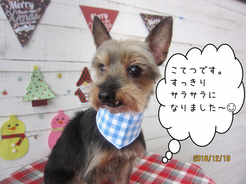 微笑むミックス